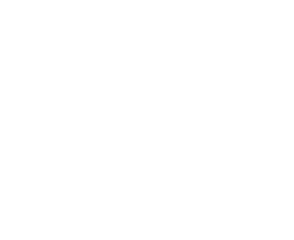 calligraphy_45e